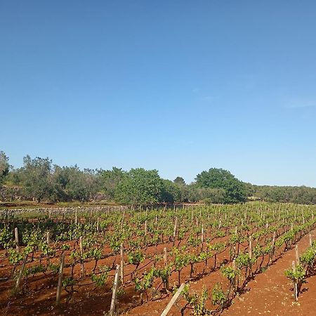 Masseria Le Betulle ซานวีโต เดย์ นอร์มานนี ภายนอก รูปภาพ